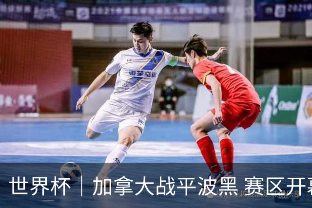 世界杯｜加拿大战平波黑 赛区开幕式表演“翻车”