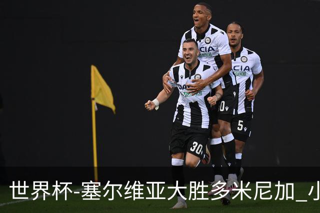 世界杯-塞尔维亚大胜多米尼加 小组第二进八强
