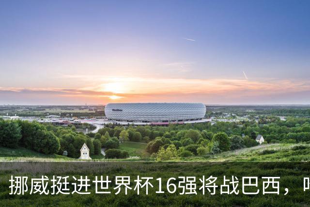 挪威挺进世界杯16强将战巴西，哈兰德发声